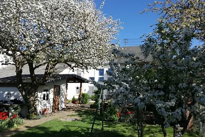 Ferienwohnung in Plein mit Barbecue