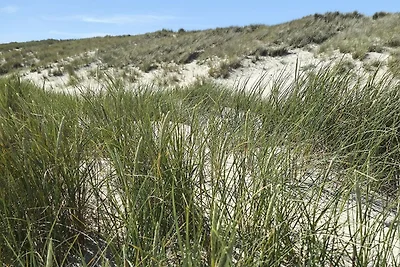 4 sterren vakantie huis in Skagen