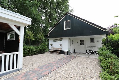 Ferienhaus in Overijssel mit Garten