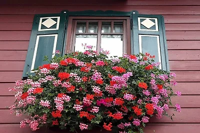 Ferienhaus in Pruggern mit Schwimmbecken
