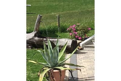 Appartamento per vacanze con 2 camere da...