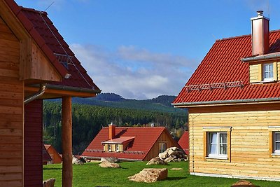 Holiday homes in the Schierke Harzresort,...