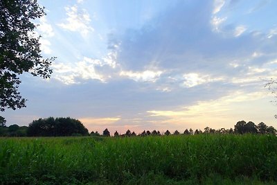 Schönes Ferienhaus inmitten der Natur