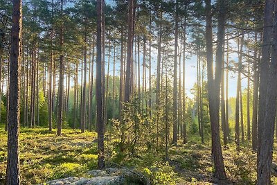 8 Personen Ferienhaus in Kristinehamn