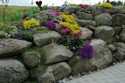 Seidl - Ferienwohnung