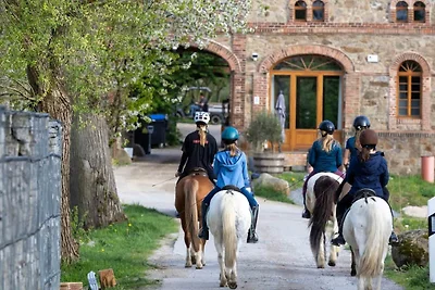 Appartement mit Sonnenterrasse