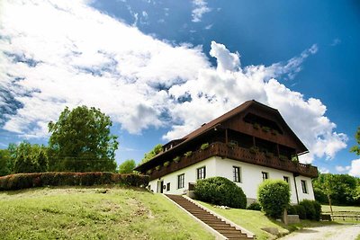 Vakantiehuis Birkenhof in Afritz/Verditz