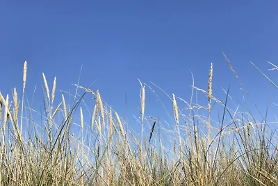 5 Sterne Ferienhaus in Lärbro