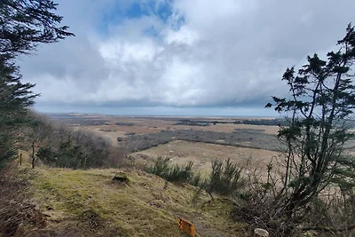 10 Personen Ferienhaus in Brovst