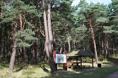 Ferienwohnung in Wisełka mit großer Terrasse