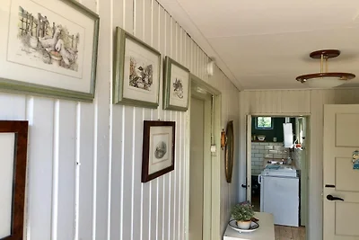 Haustierfreundlicher Kurzurlaub in Zeeland