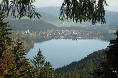 Dom w naturze - widok na Feldberg