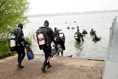 Schwanzwedelnde Flucht zum See