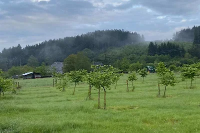 Kuća za odmor Dopust za oporavak Elzach
