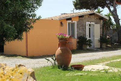 Vakantiehuis in Calasetta Sardinië met tuin