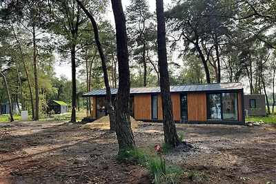 Casa vacanze di Haarle, un ambiente...