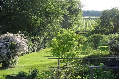3 Weingut Hauerhof 99