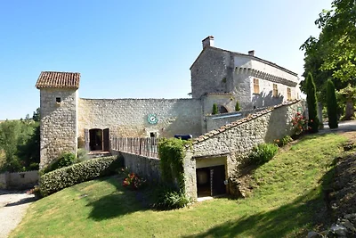 Castello con piscina privata vicino ad Agen