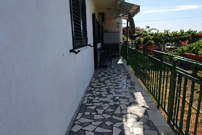 Three Bedroom Apartment