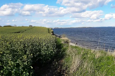 8 Personen Ferienhaus in Haderslev-By Traum