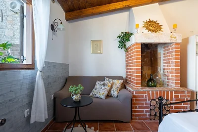 Charmante villa met privétuin en barbecue