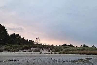 6 Personen Ferienhaus in Rømø-By Traum