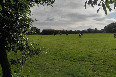 4 Personen Ferienhaus in Ansager