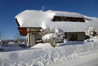 Furtwangen Stay Ski Resort