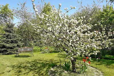 Ferienwohnung in der hübschen Inselstadt...