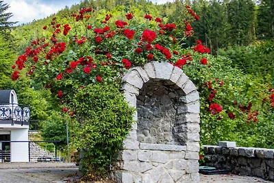 "Kirschzauber" auf dem Vogthof