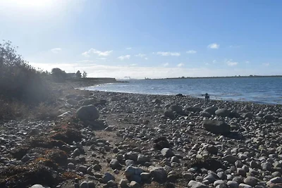 Meeresflucht in Hindsholm -- By Traum...