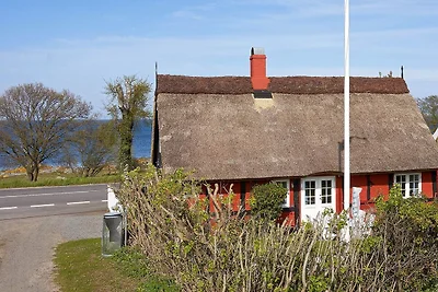 5 Personen Ferienhaus in Svaneke