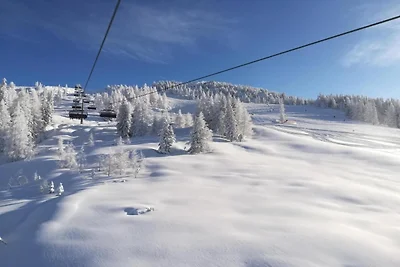 Wohnung in Mittersill nahe Skipisten