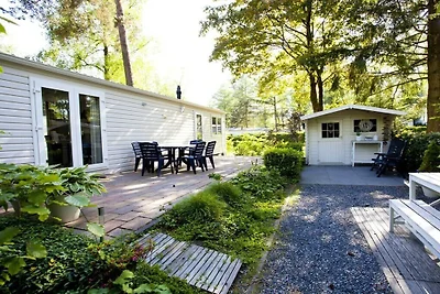 Ferienhaus in Arnhem mit Terrasse