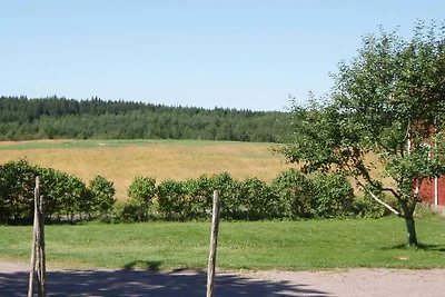 8 persone case ad VIMMERBY-By Traum