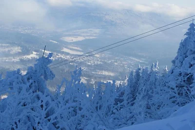 Ferienhaus in Kollnburg mit Garten