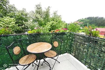 One Bedroom Apartment