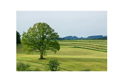 Stadelwohung Residenza di vacanza...