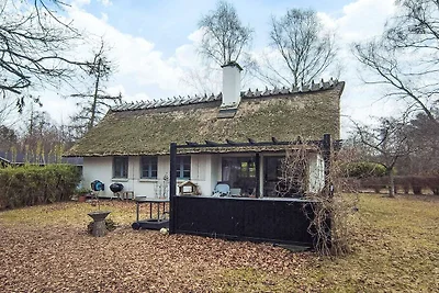 9 Personen Ferienhaus in Frederiksværk