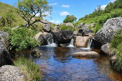 Hütte bei Dartmoor mit Whirlpool