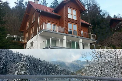 Casa vacanze a Hornberg con piscina