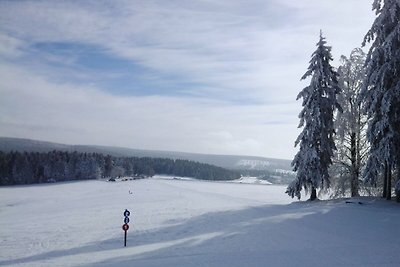 Ferienwohnung in der Nähe des Skigebietes