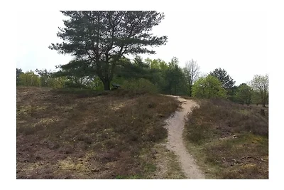 Heideblockhaus "Am Wald"