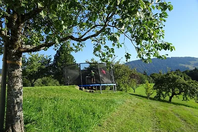 Fluh im Haus Lingg