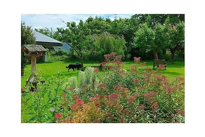 Ferienhaus mit 3 Schlafzimmer
