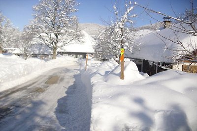 Piacevole appartamento a Bernau-Innerlehen...