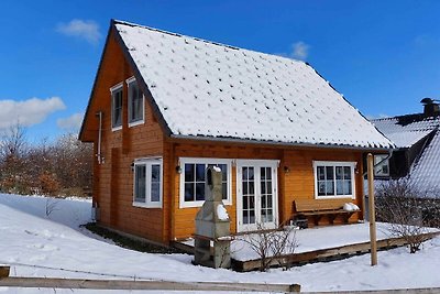 Holzferienhaus in Wissinghausen mit eigener...