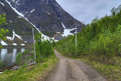 10 persoons vakantie huis in Reinfjord