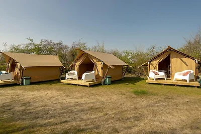 Safaritent aan het strand voor stellen