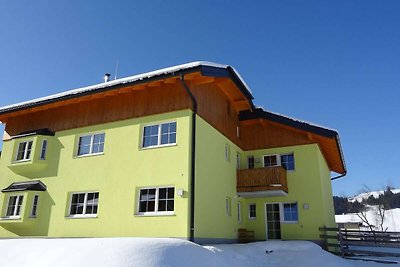 Villa in Altenmarkt mit einem Kamin